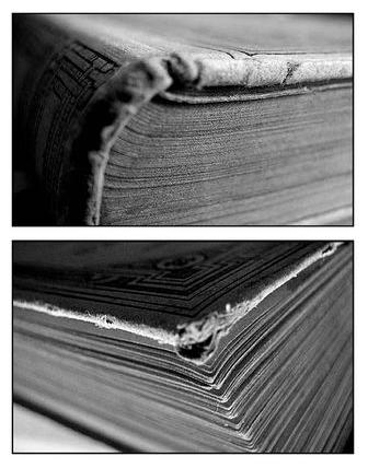 BREVET .