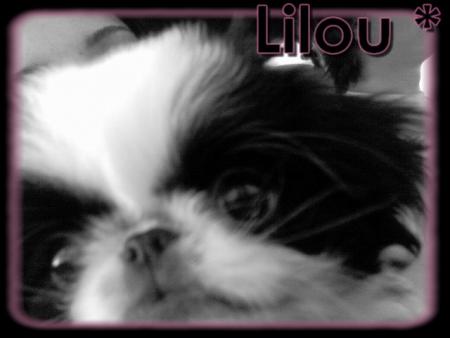 Lilou .